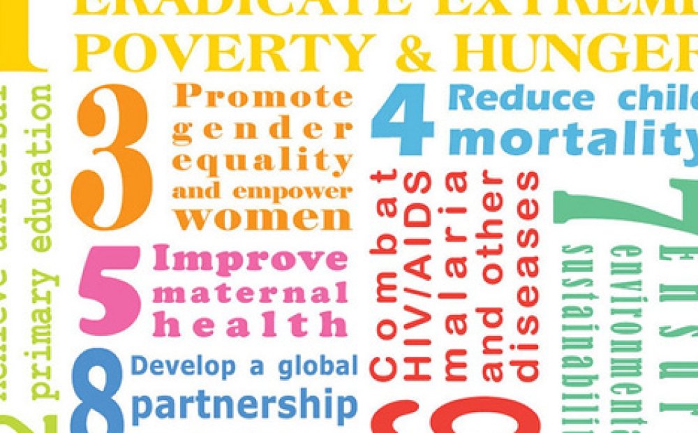 Making the Millennium Development Goals Sustainable