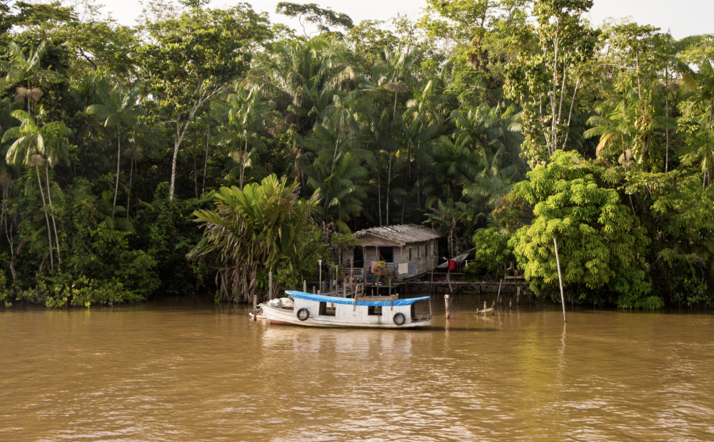 Local family home along the Amazon River, Brazil.