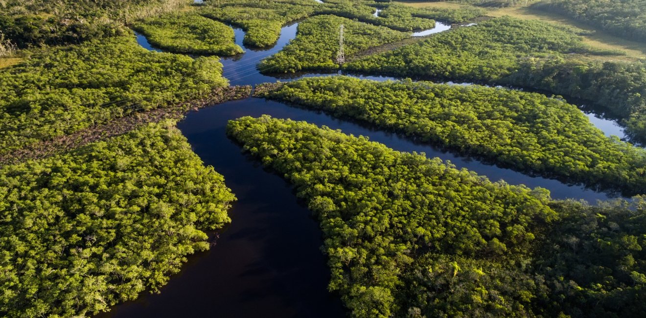 Environmental Concerns - Brazil 2018 Understanding the Issues