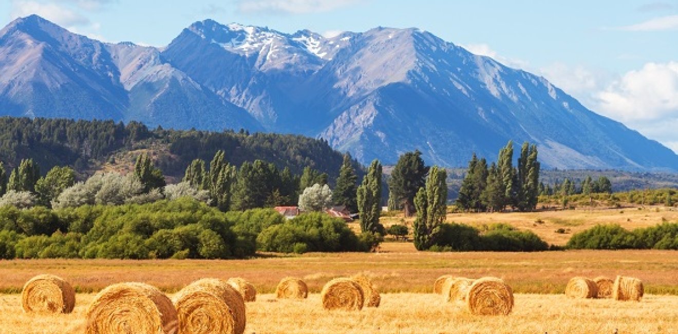 Drought: A Conversation with Esteban Copati, Head of the Agricultural Estimates Department in the Bolsas de Cereales of Argentina