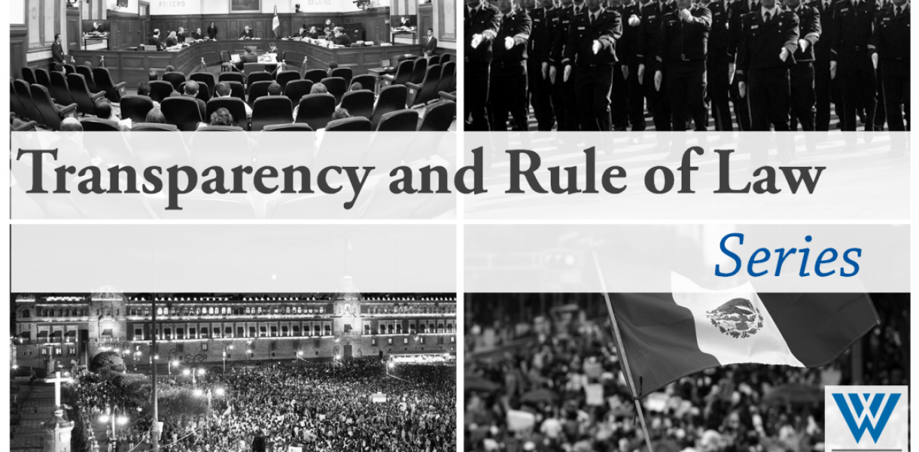 Transparency and the Rule of Law Series