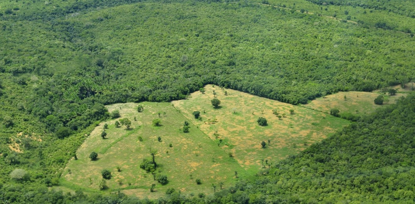 (Agri)business as Usual: Curbing Deforestation in the Amazon Rainforest