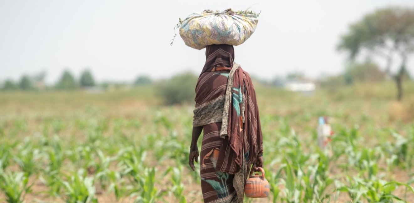 Farmer African girl walking in farm field in Chad N'Djamena travel, located in Sahel desert and Sahara. 