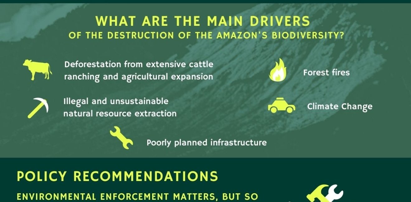 Image - BI infographic - Amazon Biodiversity 2021