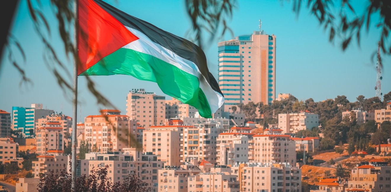 MEP_Palestinian Flag