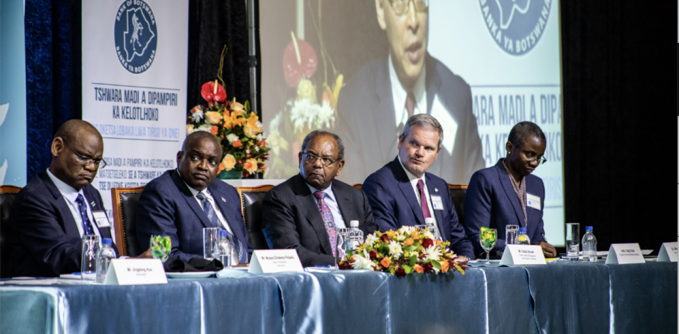 Brown Capital Management Africa Forum High-Level Meeting on Sovereign Wealth Funds