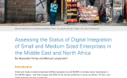 Assessing the Status of Digital Integration