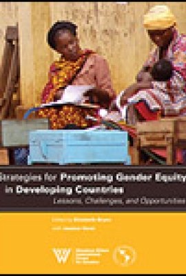 Strategies for Promoting Gender Equity in Developing Countries