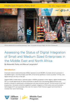 Assessing the Status of Digital Integration