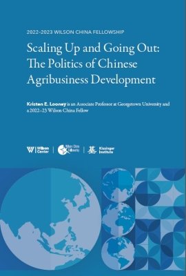 Scaling Up and Going Out: The Politics of Chinese Agribusiness Development