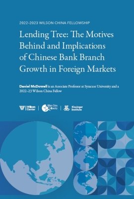 Lending Tree: The Motives Behind and Implications of Chinese Bank Branch Growth in Foreign Markets