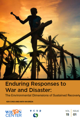 Enduring Responses to War and Disaster: The Environmental Dimensions of Sustained Recovery