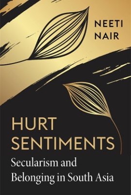 Hurt Sentiments Book Cover