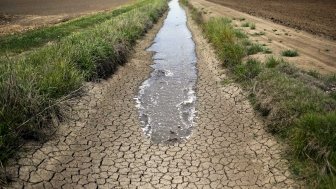 Feeding a Hot and Hungry Planet