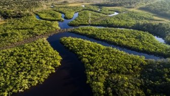 Environmental Concerns - Brazil 2018 Understanding the Issues