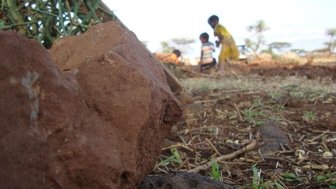 Land-Grabbing and Villagization in Ethiopia's Lowlands and Beyond