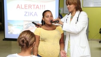 Zika in the U.S: Can We Manage the Risk?