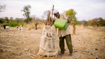 Kouanda Issiaka, 65 years old, is watering his mango plantation for extra income for his family, Boromo, Burkina Faso.