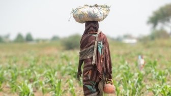 Farmer African girl walking in farm field in Chad N'Djamena travel, located in Sahel desert and Sahara. 