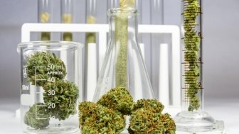 Lab instruments containing cannabis.