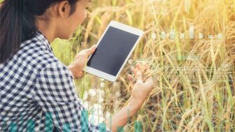 A woman is in a field of wheat looking at a device with images of technology readouts on top.