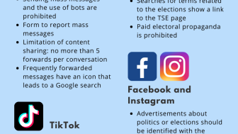 Curbing the Spread of Disinformation