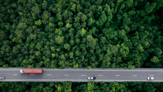 Aerial view of a road through a forest