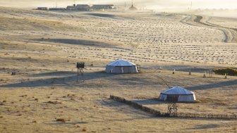 Chinese Grassland