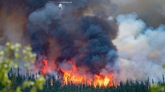 wild forest fire in Canada