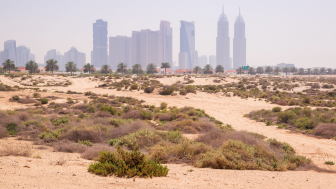 Jumeirah Beach, UAE