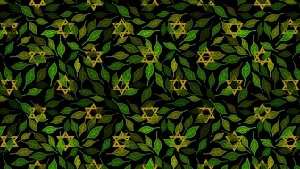 illustration star of david leaves