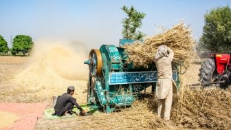 A wheat threshing machine in Pakistan.