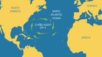 Graphic rendition of the Sargasso Sea in mid-Atlantic Ocean