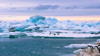 Antarctica ice and penguins picture