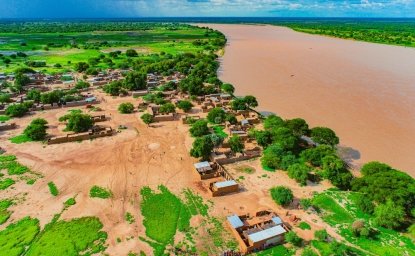 Flooded rice fields in Chad