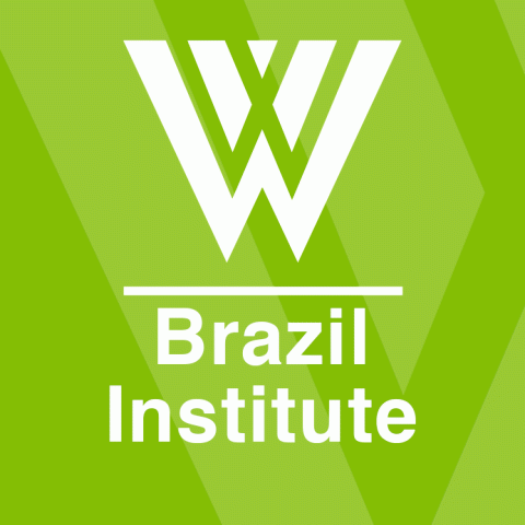 Brazil Institute