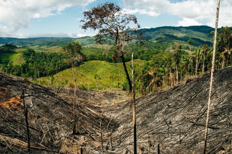 Colombia’s Frontline Environmental Defenders