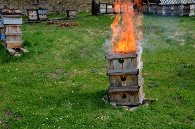 The burning of diseased beekeeping equipment