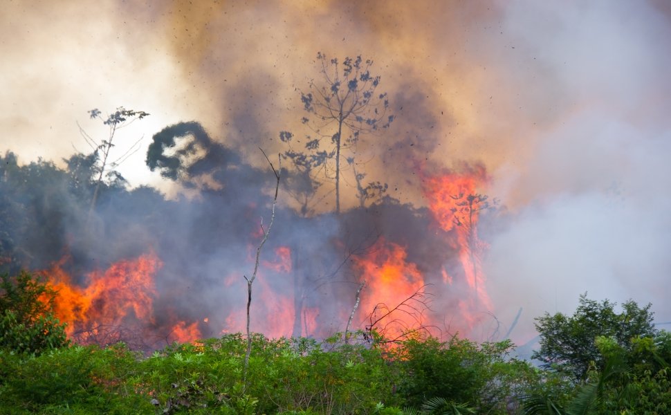 Forest Fire in the Amazon