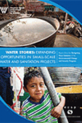 Community-Based Approaches to Water and Sanitation: A Survey of Best, Worst, and Emerging Practices