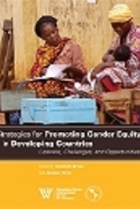 Strategies for Promoting Gender Equity in Developing Countries: Lessons, Challenges and Opportunities