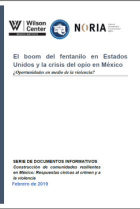 El boom del fentanilo en Estados Unidos y la crisis del opio en México: ¿Oportunidades en medio de la violencia?