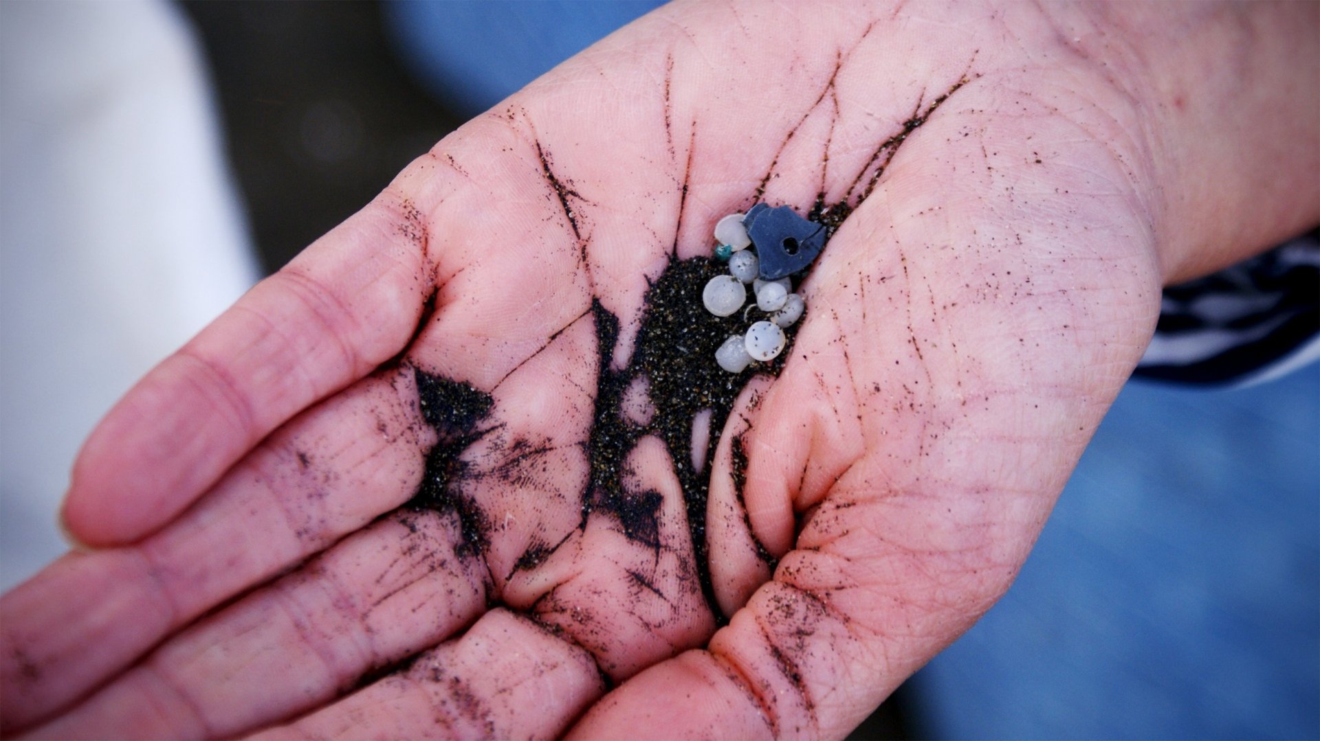 Plastic resin pellets or 'nurdles' spilt by the plastic manufacturing industry wash up at Piha