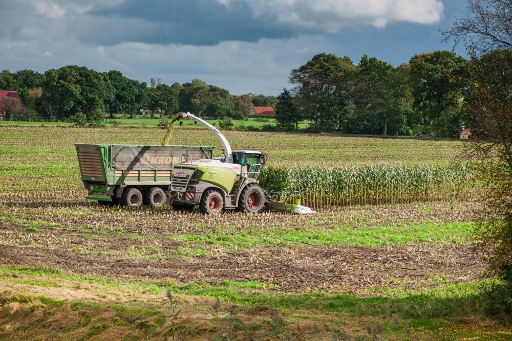 Thacker Harvesting is an Alberta-based custom grain harvester