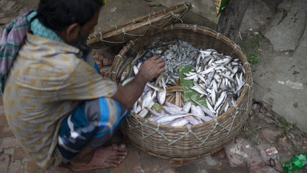 A fish vendor goes door to door on Bhola